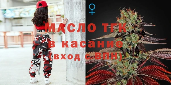 СК Алексин