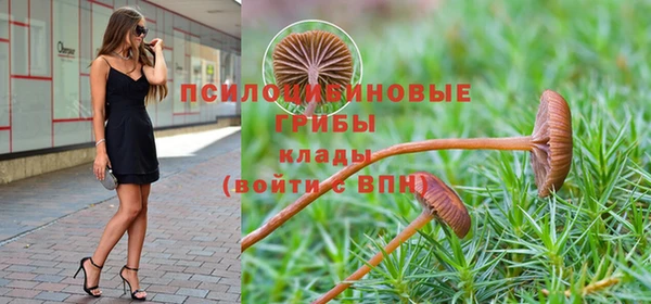 экстази Алзамай